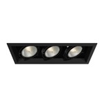 6IN PAR30 Halogen Multiples Trim with Remodel Housing - Black Trim / Black Reflector