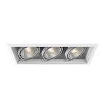 6IN PAR30 Halogen Multiples Trim with Remodel Housing - White Trim / White Reflector