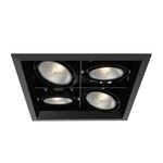 PAR30 2X2 Trim with Remodel Housing - Black Trim / Black Reflector