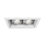 PAR20 Multiples Trim with Remodel Housing - White Trim / White Reflector
