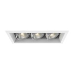 PAR20 Multiples Trim with Remodel Housing - White Trim / White Reflector