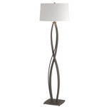 Almost Infinity Floor Lamp - Natural Iron / Natural Anna