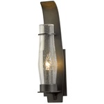 Sea Coast Outdoor Wall Sconce - Coastal Dark Smoke / Seeded Clear