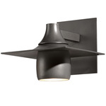 Hood Dark Sky Outdoor Wall Sconce - Coastal Burnished Steel