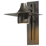 Hood Large Dark Sky Outdoor Wall Sconce - Coastal Bronze