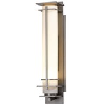 After Hours Outdoor Wall Sconce - Coastal Burnished Steel / Opal