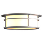 Province Outdoor Ceiling Light - Coastal Burnished Steel / Opal