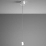 Multispot Beluga Mini Pendant with Round Canopy - White / Transparent