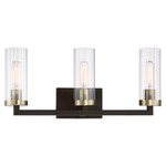 Ainsley Court Bathroom Vanity Light - Aged Kinston Bronze / Clear