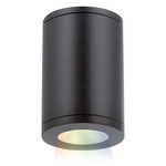 Tube Architectural Spot Color Changing Ceiling Light - Black / White