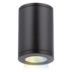 Tube 5IN Architectural Color Changing Ceiling Light - Black / White