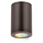 Tube Architectural Spot Color Changing Ceiling Light - Bronze / White