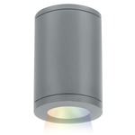 Tube 5IN Architectural Color Changing Ceiling Light - Graphite / White