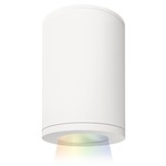Tube 5IN Architectural Color Changing Ceiling Light - White / White