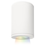 Tube Architectural Spot Color Changing Ceiling Light - White / White