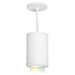 Tube Architectural Spot Color Changing Pendant - White / White