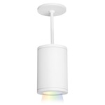 Tube 5IN Architectural Color Changing Pendant - White / Clear