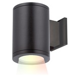 Tube 5IN Architectural Up or Down Color Changing Wall Light - Black / Clear