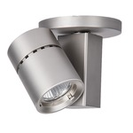 1023 Exterminator II Monopoint - Brushed Nickel / Clear