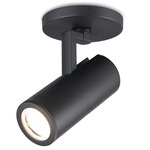 4023 Adjustable Beam Paloma Monopoint - Black / Clear