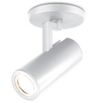 4023 Adjustable Beam Paloma Monopoint - White / Clear