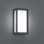 Timok Outdoor Wall Light - Dark Grey / White