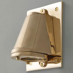 Mast Outdoor Wall Light - Polished Bronze / Clear