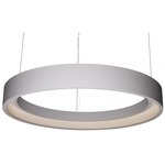 Hoop 950 Pendant - White
