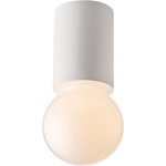 Rozetta Ceiling / Wall Light - White