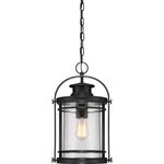 Booker Outdoor Pendant - Mystic Black / Clear Seedy