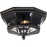 Newbury Outdoor Ceiling Flush Light - Medici Bronze / Clear