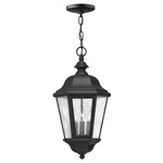 Edgewater 120V Outdoor Pendant - Black / Clear Seedy