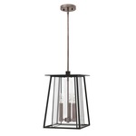 Walker Outdoor Pendant - Black / Clear