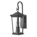 Bromley Outdoor Hanging Wall Light - Museum Black / Clear