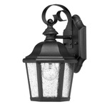 Edgewater 120V Outdoor Wall Light - Black / Clear Seedy