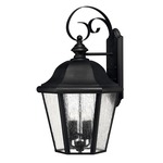 Edgewater Outdoor Wall Light - Black / Clear Seedy