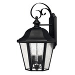 Edgewater 120V Outdoor Wall Light - Black / Clear Seedy