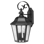 Edgewater 120V Outdoor Wall Light - Black / Clear Seedy