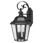 Edgewater Outdoor Wall Light - Black / Clear Seedy