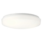Ceiling Space LED Light Fixture - White / White