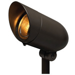 120V Outdoor PAR Spot Light - Bronze / Clear