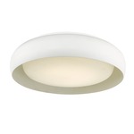 Euphoria Ceiling Light Fixture - White / Frosted