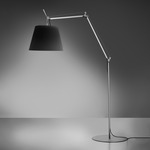 Tolomeo Mega Outdoor Floor Lamp - Aluminum / Black