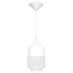 Robertson Blvd Decorative Pendant - White / Frost