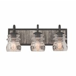 Bainbridge Bathroom Vanity Light - Black Iron / Clear