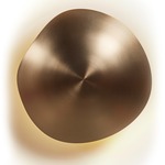 Chestnut Wall / Ceiling Light - Champagne