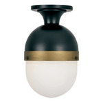Capsule Outdoor Semi Flush Ceiling Light - Matte Black / Textured Gold / Opal