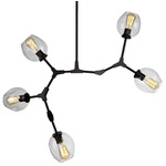 Organic Chandelier - Black / Clear