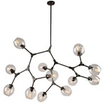 Organic Chandelier - Black / Clear