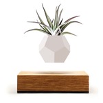 LYFE Planter - White / Oak